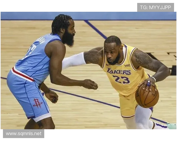 里埃拉战术或改写布尔卡特前景